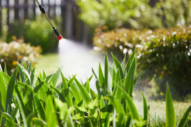 24/7 Emergency Mosquito Control experts in Bradley Gardens, NJ