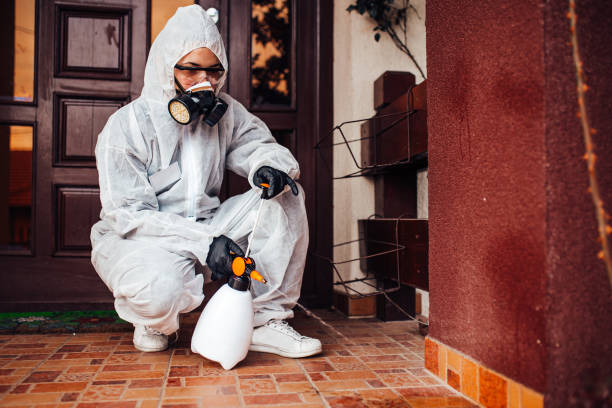Reliable Mosquito Control contractor in Bradley Gardens, NJ by Show Me Pest Control